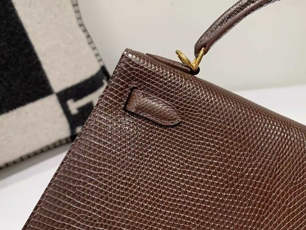 Hermès Kelly 25 Lizard Chocolate x Gold Hardware