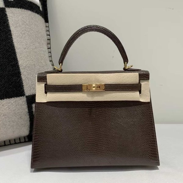 Hermès Kelly 25 Lizard Chocolate x Gold Hardware