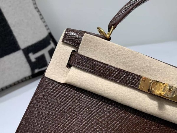 Hermès Kelly 25 Lizard Chocolate x Gold Hardware