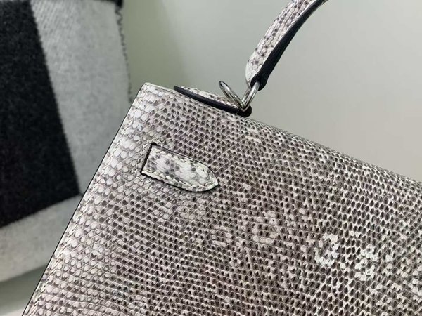 Hermès Kelly 25 Ombre Lizard Ombre x Palladium Hardware