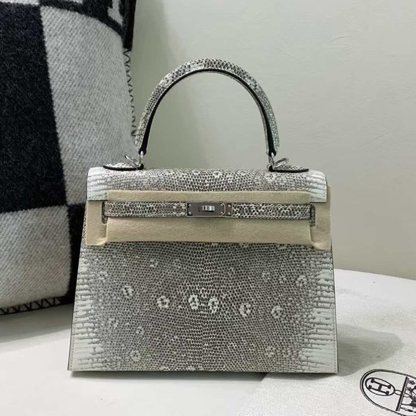 Hermès Kelly 25 Ombre Lizard Ombre x Palladium Hardware