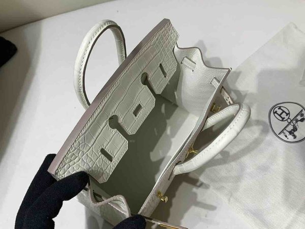 Hermès Birkin 20 Matte Alligator Craie x Gold Hardware