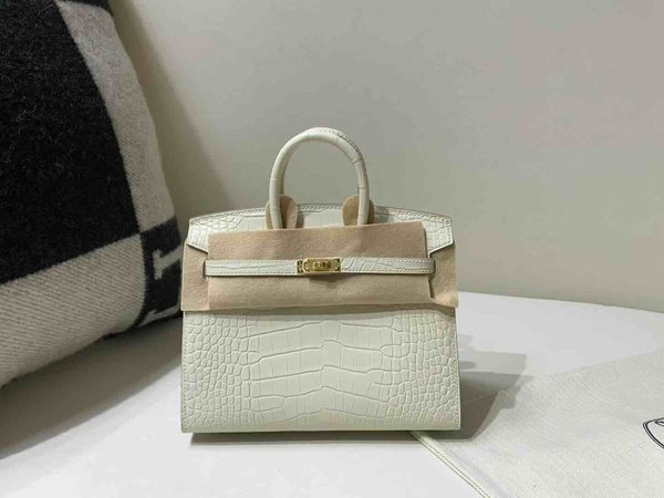 Hermès Birkin 20 Matte Alligator Craie x Gold Hardware