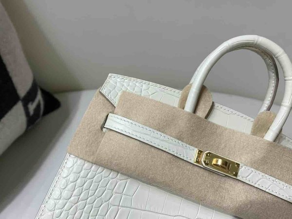 Hermès Birkin 20 Matte Alligator Craie x Gold Hardware