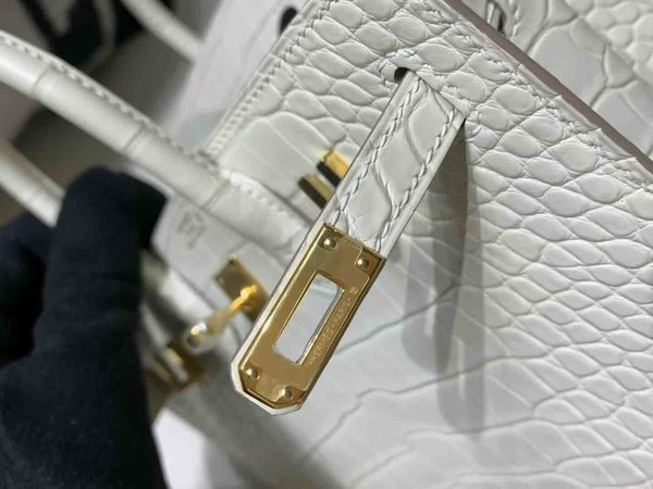 Hermès Birkin 20 Matte Alligator Craie x Gold Hardware