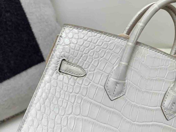 Hermès Birkin 20 Alligator Matte Beton x Palladium Hardware