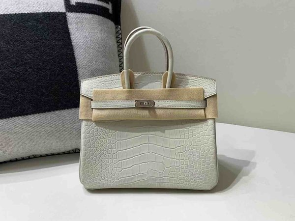 Hermès Birkin 25 Alligator Matte Beton x Palladium Hardware