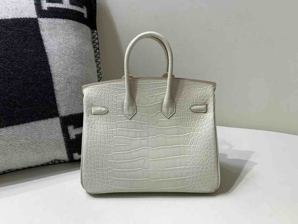 Hermès Birkin 25 Alligator Matte Beton x Palladium Hardware