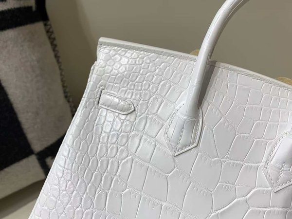 Hermès Birkin 25 Matte Alligator Mississippiensis, White, Palladium Hardware