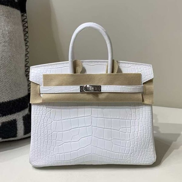 Hermès Birkin 25 Matte Alligator Mississippiensis, White, Palladium Hardware