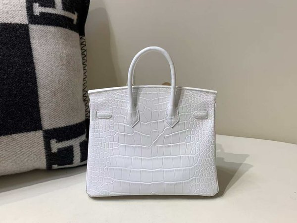 Hermès Birkin 25 Matte Alligator Mississippiensis, White, Palladium Hardware