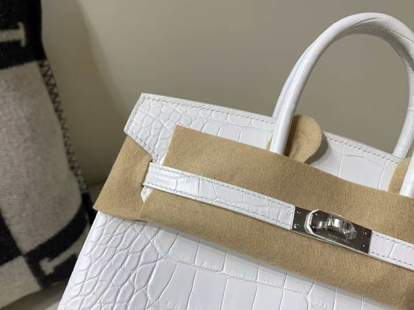 Hermès Birkin 25 Matte Alligator Mississippiensis, White, Palladium Hardware