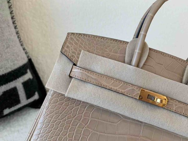 Hermès Birkin 25 Matte Alligator Mississippiensis Chai x Gold Hardware