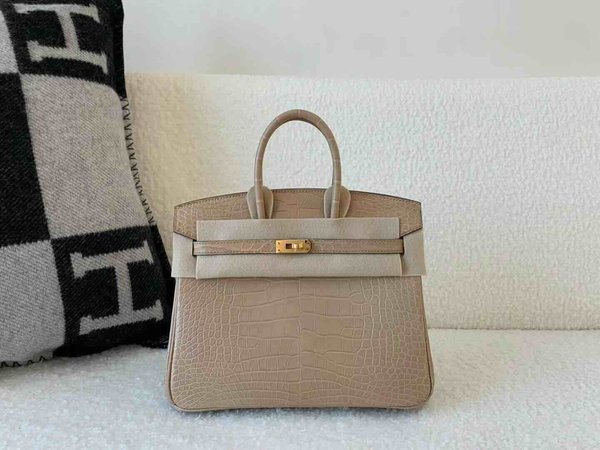 Hermès Birkin 25 Matte Alligator Mississippiensis Chai x Gold Hardware