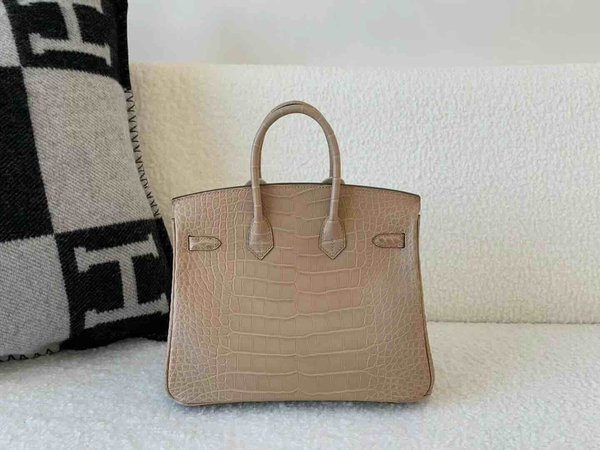 Hermès Birkin 25 Matte Alligator Mississippiensis Chai x Gold Hardware