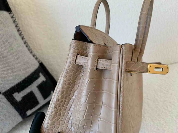 Hermès Birkin 25 Matte Alligator Mississippiensis Chai x Gold Hardware