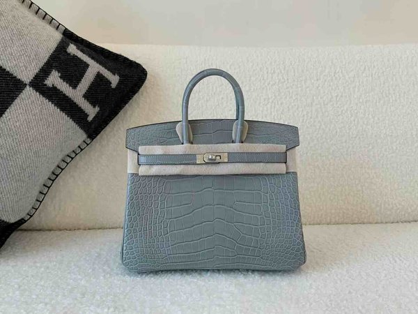 Hermès Birkin 25 Matte Alligator Mississippiensis Gris Perle x Palladium Hardware