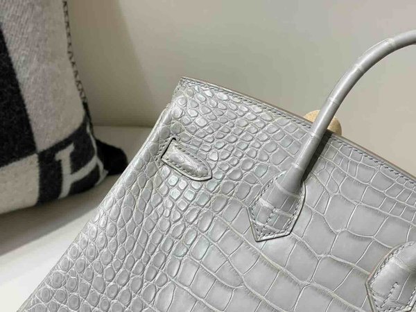 Hermès Birkin 25 Alligator Matte Gris Perle (80 Pearl Grey) x Gold Hardware