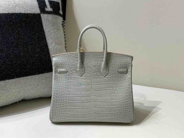Hermès Birkin 25 Alligator Matte Gris Perle (80 Pearl Grey) x Gold Hardware