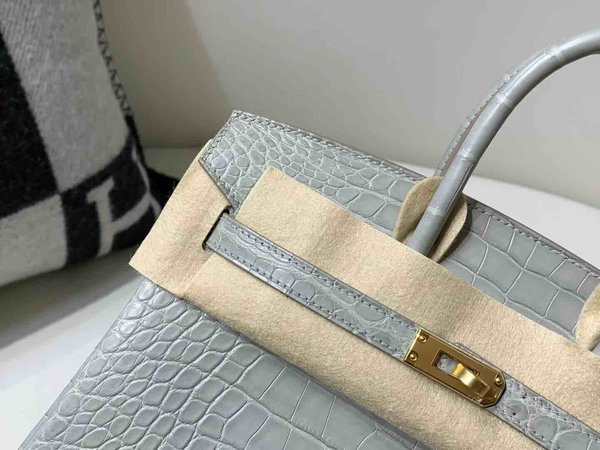 Hermès Birkin 25 Alligator Matte Gris Perle (80 Pearl Grey) x Gold Hardware