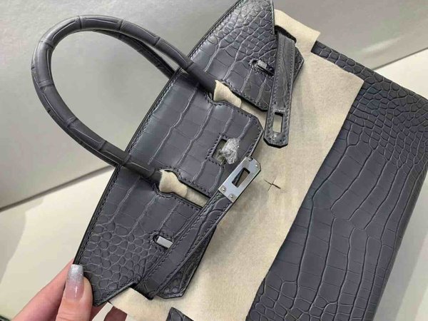 Hermès Birkin 25 Matte Alligator Mississippiensis Graphite Grey x Palladium Hardware