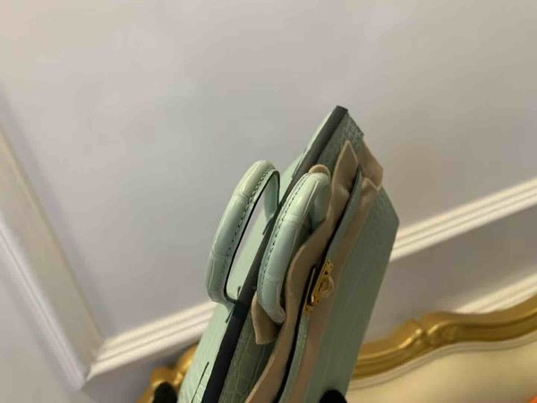 Hermès Birkin 20 Vert d’Eau Matte Alligator x Gold Hardware