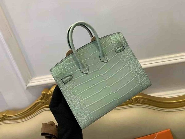 Hermès Birkin 20 Vert d’Eau Matte Alligator x Gold Hardware