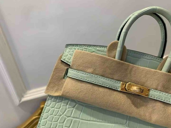Hermès Birkin 20 Vert d’Eau Matte Alligator x Gold Hardware