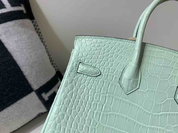 Birkin 25 Vert d’Eau  Matte Alligator x Gold Hardware