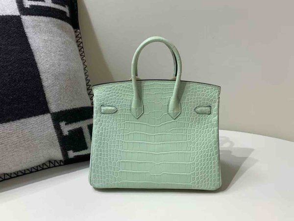 Birkin 25 Vert d’Eau  Matte Alligator x Gold Hardware
