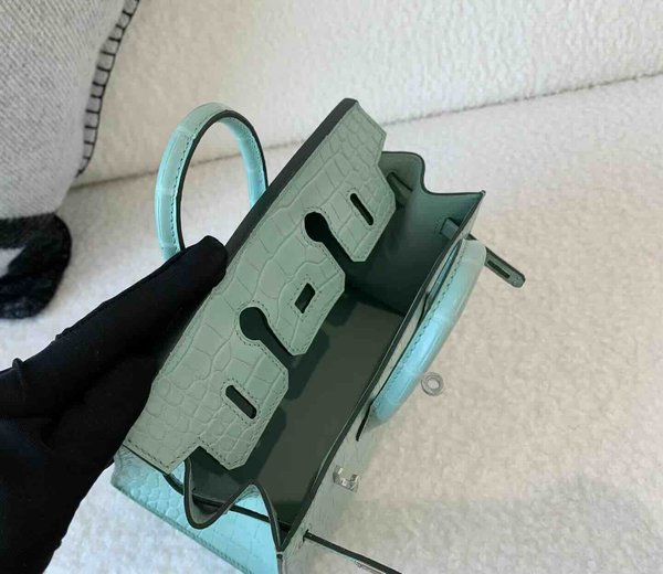 Hermès Birkin 20 Matte Alligator Mississippiensis Mint Green (Vert Fizz) x Palladium Hardware