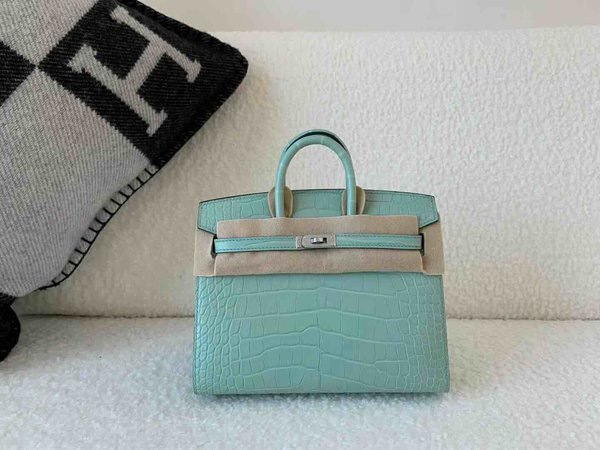 Hermès Birkin 20 Matte Alligator Mississippiensis Mint Green (Vert Fizz) x Palladium Hardware