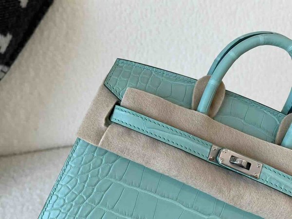 Hermès Birkin 20 Matte Alligator Mississippiensis Mint Green (Vert Fizz) x Palladium Hardware