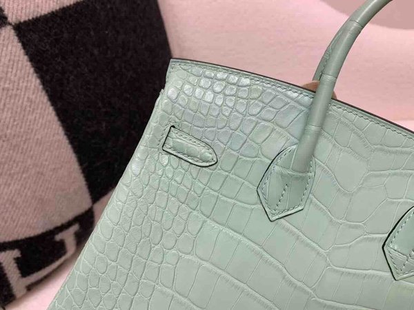 Hermès Birkin 25 Alligator Matte Menthe (6U Mint Green) x Gold Hardware