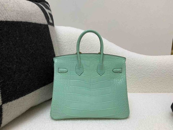 Hermès Birkin 25 Alligator Matte Menthe (6U Mint Green) x Gold Hardware