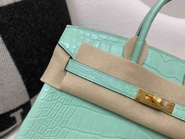 Hermès Birkin 25 Alligator Matte Menthe (6U Mint Green) x Gold Hardware