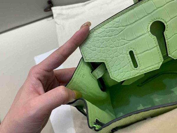 Hermès Birkin 25 Matte Alligator Young Green x Palladium Hardware