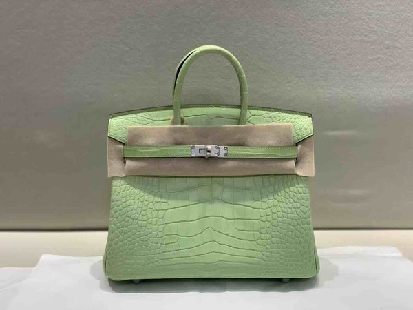 Hermès Birkin 25 Matte Alligator Young Green x Palladium Hardware