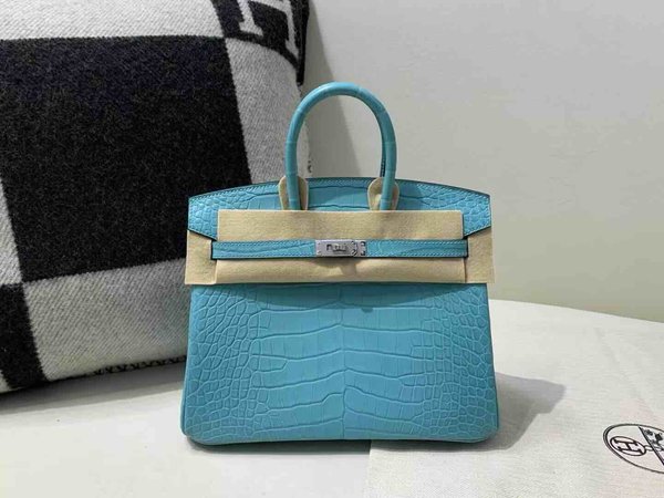 Hermès Birkin 25 Alligator Matte Blue Celeste x Palladium Hardware