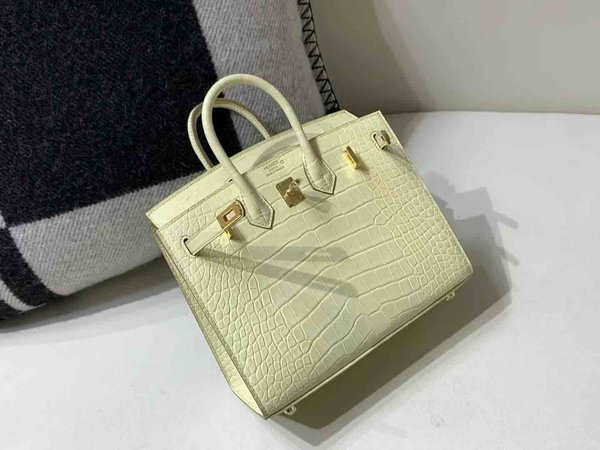 Hermès Birkin 20 Matte Alligator Mississippiensis Vanille x Gold Hardware