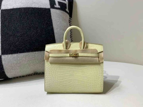 Hermès Birkin 20 Matte Alligator Mississippiensis Vanille x Gold Hardware