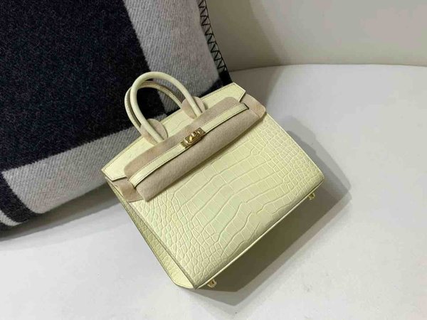 Hermès Birkin 20 Matte Alligator Mississippiensis Vanille x Gold Hardware