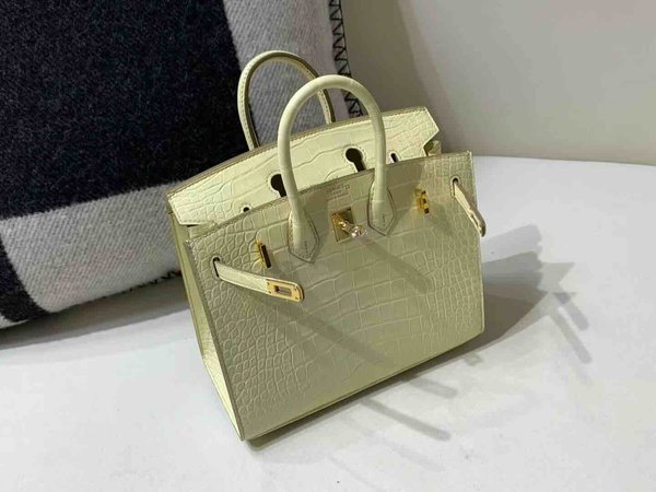 Hermès Birkin 20 Matte Alligator Mississippiensis Vanille x Gold Hardware