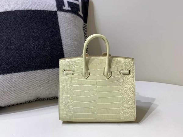 Hermès Birkin 25 Matte Alligator Vanille x Gold Hardware