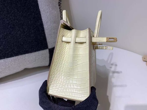 Hermès Birkin 25 Matte Alligator Vanille x Gold Hardware