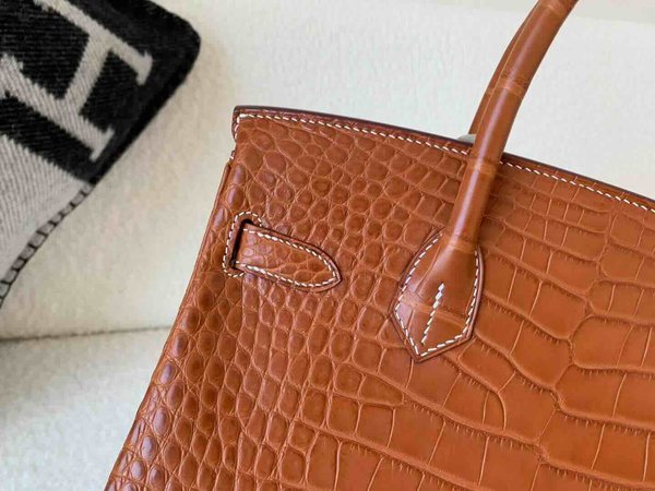 Hermès Birkin 30 Matte Alligator Gold  x Palladium Hardware