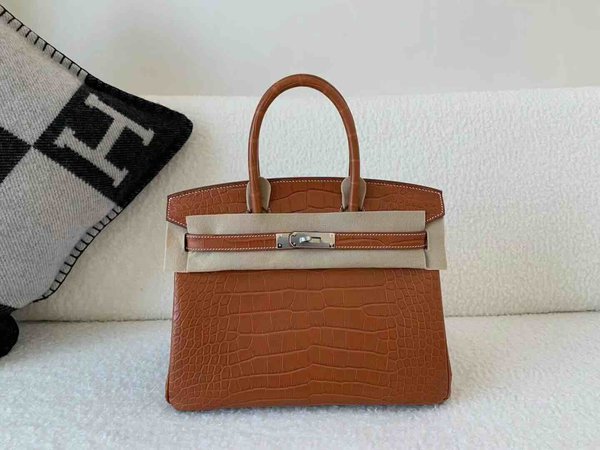 Hermès Birkin 30 Matte Alligator Gold  x Palladium Hardware