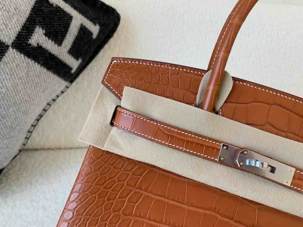 Hermès Birkin 30 Matte Alligator Gold  x Palladium Hardware