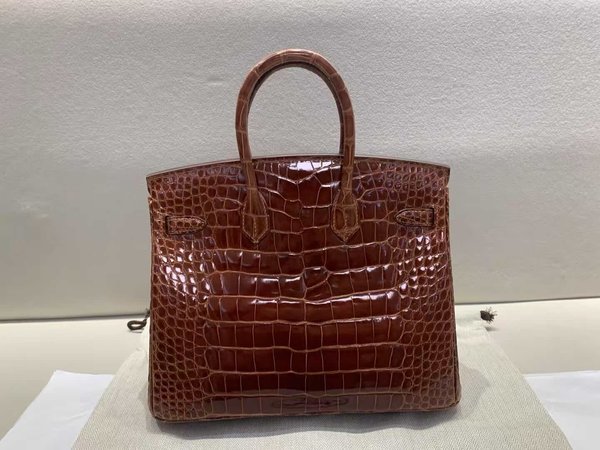 Hermès Birkin 25 Shiny Alligator Miel x Gold Hardware