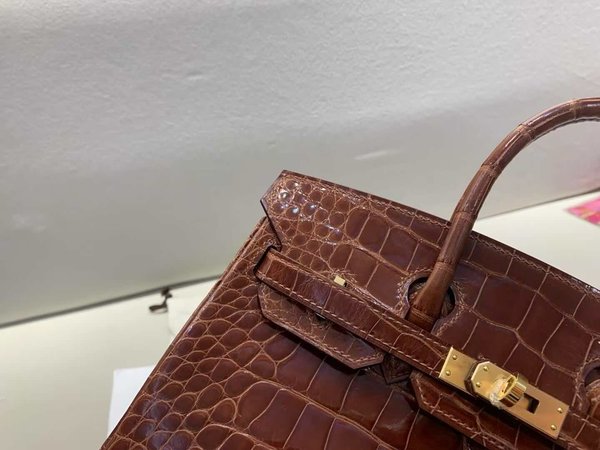Hermès Birkin 25 Shiny Alligator Miel x Gold Hardware
